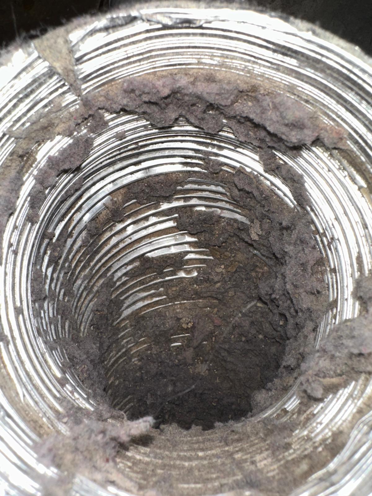 Severe lint blockage inside dryer vent before cleaning
